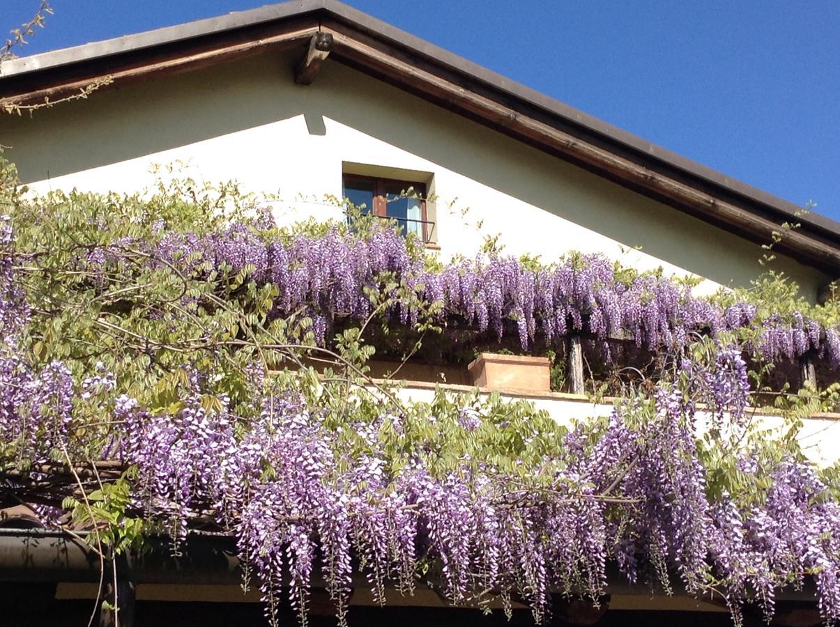 Casa Tentoni - *